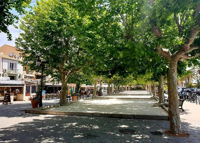 Climat. 4 Pers. Avec Parking Privatif Au Lavandou, Proche Centre Et - Fr-1-251-390 Lägenhet Le Lavandou